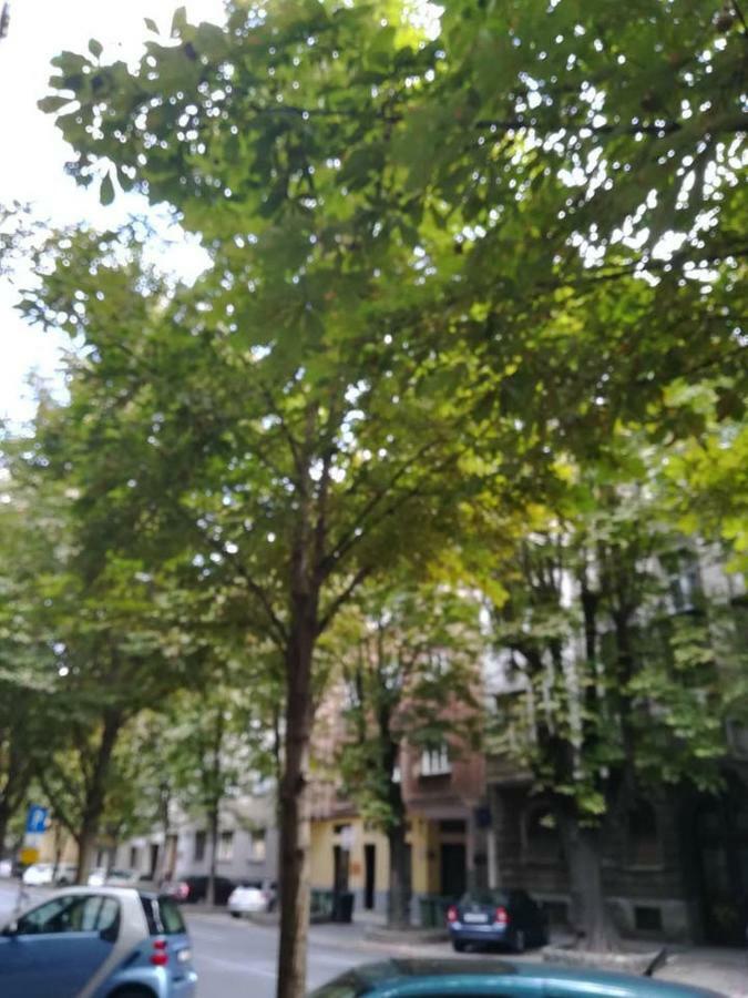 Appartement Dreno *